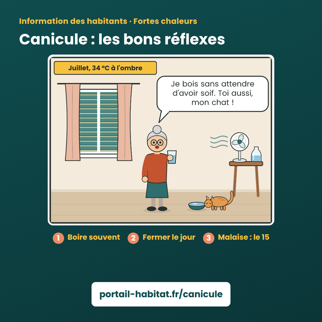 Visuel carré « Canicule : les bons réflexes et le registre de la mairie »