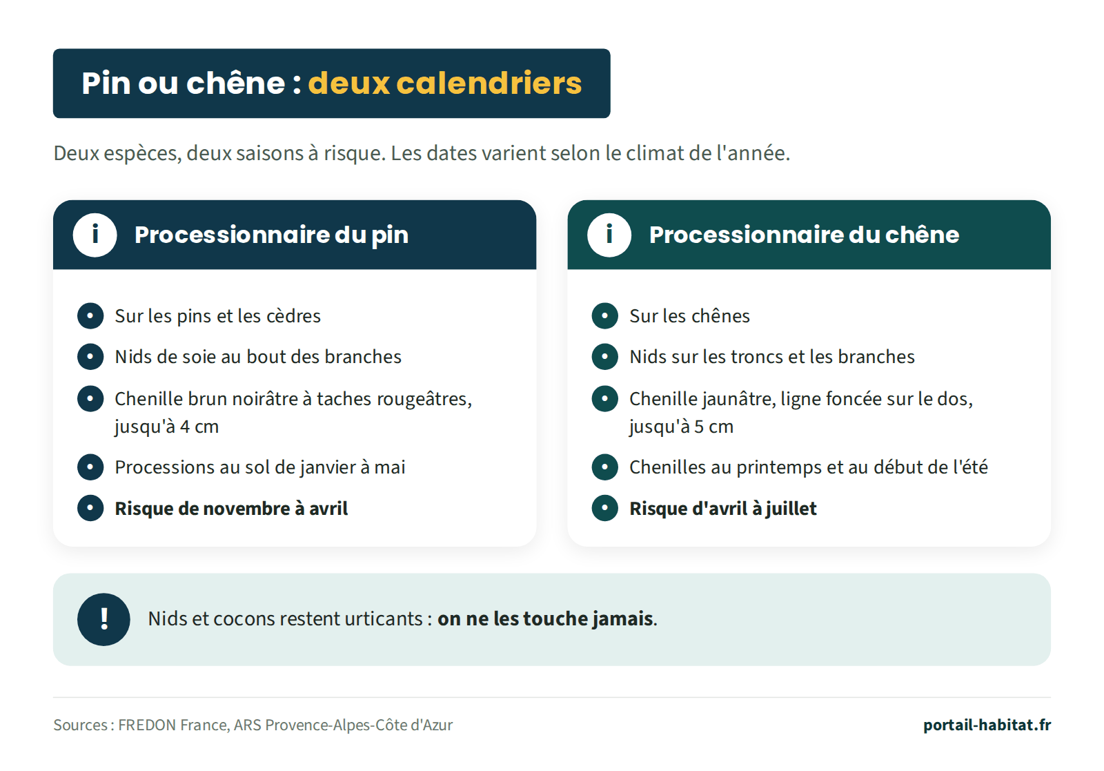 Schéma comparatif : processionnaire du pin ou du chêne, deux calendriers ; deux espèces, deux saisons à risque, les dates varient selon le climat de l'année. Processionnaire du pin : sur les pins et les cèdres ; nids de soie au bout des branches ; chenille brun noirâtre à taches rougeâtres, jusqu'à 4 cm ; processions au sol de janvier à mai ; risque de novembre à avril. Processionnaire du chêne : sur les chênes ; nids sur les troncs et les branches ; chenille jaunâtre avec une ligne foncée sur le dos, jusqu'à 5 cm ; chenilles au printemps et au début de l'été ; risque d'avril à juillet. Dans les deux cas, nids et cocons restent urticants : on ne les touche jamais.