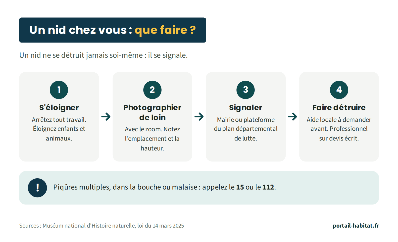 Schéma : un nid de frelons chez vous, que faire. Étape 1 : s'éloigner, arrêter tout travail, éloigner enfants et animaux. Étape 2 : photographier de loin avec le zoom, noter l'emplacement et la hauteur. Étape 3 : signaler à la mairie ou à la plateforme du plan départemental de lutte. Étape 4 : faire détruire, après avoir demandé une éventuelle aide locale, par un professionnel sur devis écrit. Piqûres multiples, dans la bouche ou malaise : appeler le 15 ou le 112.