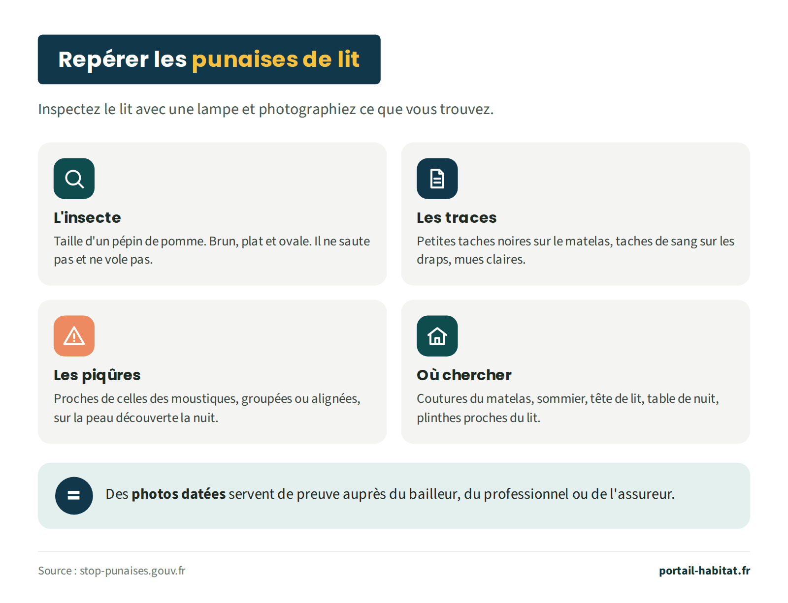 Schéma : repérer les punaises de lit. L'insecte : taille d'un pépin de pomme, brun, plat et ovale, il ne saute pas et ne vole pas. Les traces : petites taches noires sur le matelas, taches de sang sur les draps, mues claires. Les piqûres : proches de celles des moustiques, groupées ou alignées, sur la peau découverte la nuit. Où chercher : coutures du matelas, sommier, tête de lit, table de nuit, plinthes proches du lit. Des photos datées servent de preuve auprès du bailleur, du professionnel ou de l'assureur.